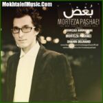 دانلود آهنگ مرتضی پاشایی بغض