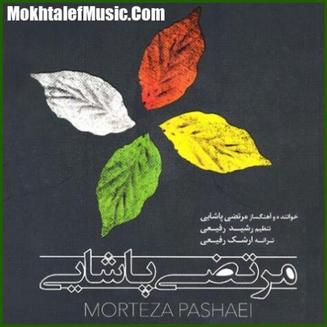 دانلود آهنگ مرتضی پاشایی پرنده