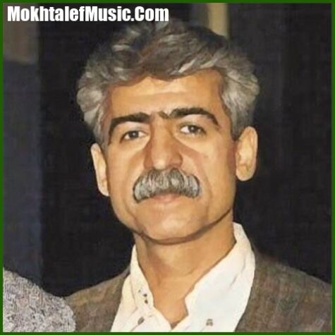 دانلود ریمیکس کردی برزی برزی
