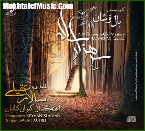 دانلود آهنگ سالار عقیلی تکنوازی تنبور