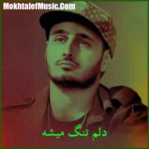 دانلود آهنگ سپهر خلسه و علی اردوان دلم تنگ میشه