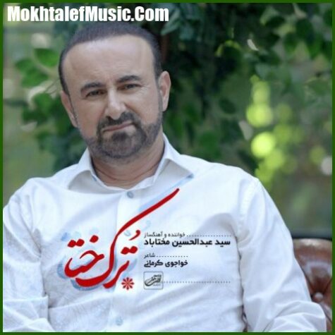 دانلود آهنگ سید عبدالحسین مختاباد ترک ختا دانلود آهنگ سید عبدالحسین مختاباد ترک ختا