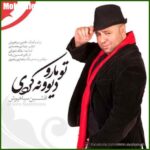 دانلود آهنگ افشین سیاهپوش تو مارو دیوونه کردی
