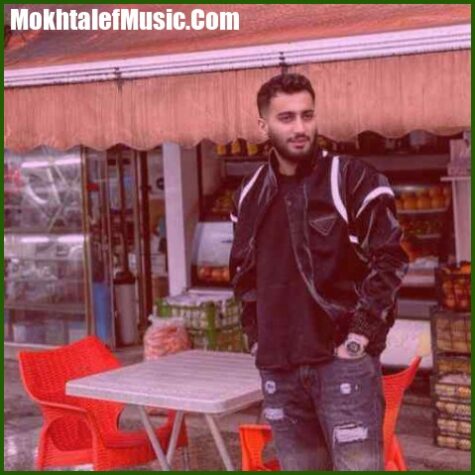 دانلود آهنگ علیرضا باباجانی ویس جدید 1403 دانلود آهنگ علیرضا باباجانی ویس جدید 1403