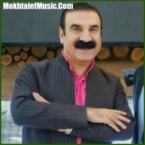 دانلود آهنگ عزیز ویسی شانه به سه ر