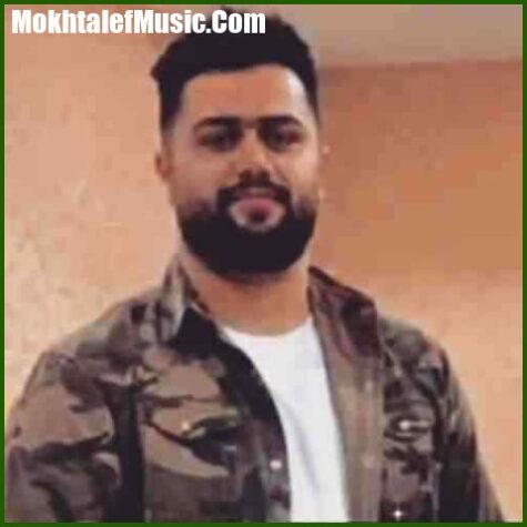 دانلود آهنگ بهنام حسن زاده و مهدی آبگون دلبر آملی 2