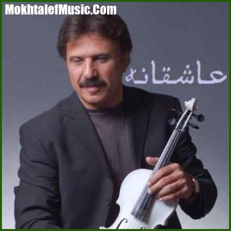 دانلود آهنگ بیژن مرتضوی نوازش