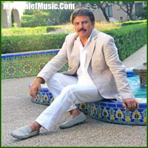 دانلود آهنگ بیژن مرتضوی سزاوار