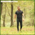 دانلود آهنگ ابی عالی دلبر آملی
