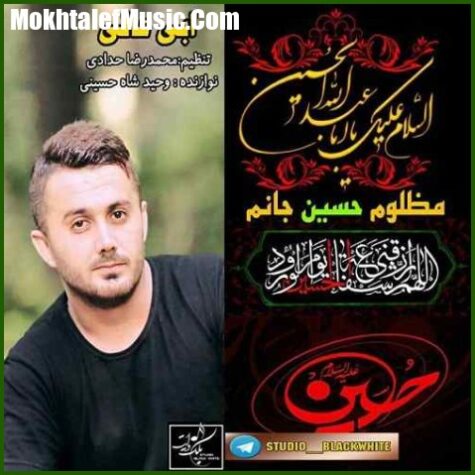 دانلود آهنگ ابی عالی مظلوم حسین جانم