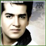 دانلود آهنگ حمید طالب زاده چیکار کنم