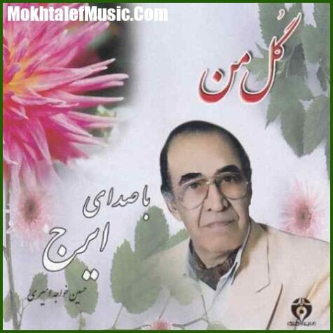 دانلود آهنگ ایرج خواجه امیری بهار جوانه ها