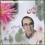 دانلود آهنگ ایرج خواجه امیری جام رویایی دانلود آهنگ ایرج خواجه امیری جام رویایی