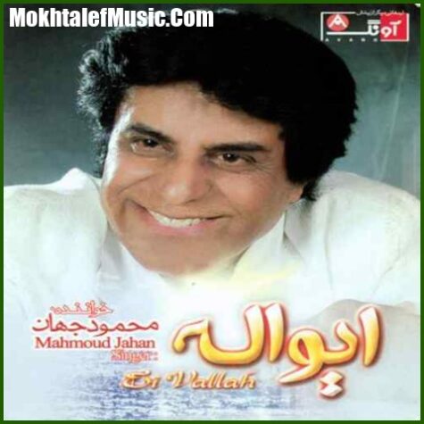 دانلود آهنگ محمود جهان دال عدس دانلود آهنگ محمود جهان دال عدس