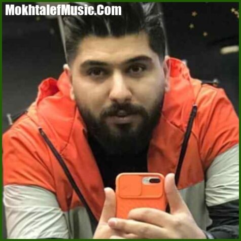 دانلود آهنگ مجید احمدی هی دلبلایی دلبر دانلود آهنگ مجید احمدی هی دلبلایی دلبر