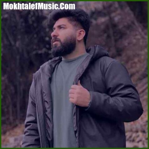 دانلود آهنگ مجید احمدی منو تو