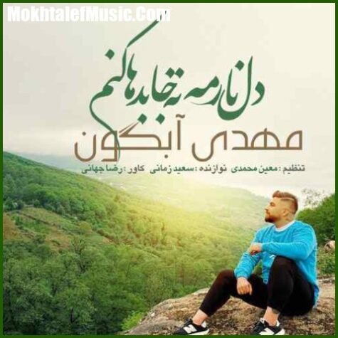 دانلود آهنگ مهدی آبگون دل نارمه