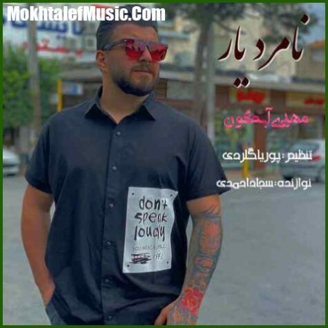دانلود آهنگ مهدی آبگون نامرد یار