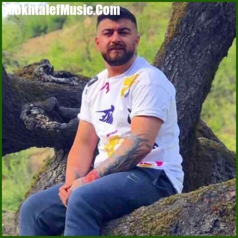 دانلود آهنگ مهدی آبگون یار یار دانلود آهنگ مهدی آبگون یار یار