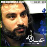 دانلود آهنگ ناصر عبداللهی نور عشقت