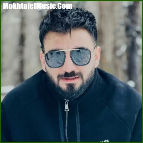 دانلود آهنگ رامین تجنگی و فرهاد نامداری الین پارتی
