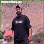 دانلود آهنگ رضا کرد دلبر 2