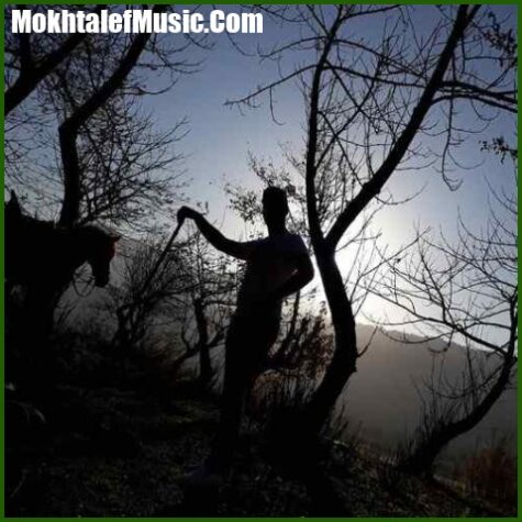 دانلود آهنگ رضا کرد حال خراب