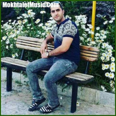 دانلود آهنگ رضا کرد سال نو