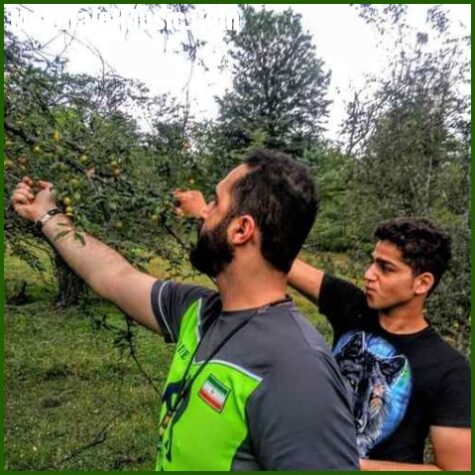 دانلود آهنگ رضا کرد یل میدون
