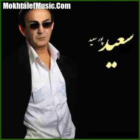 دانلود آهنگ سعید پورسعید دوباره برگرد دانلود آهنگ سعید پورسعید دوباره برگرد