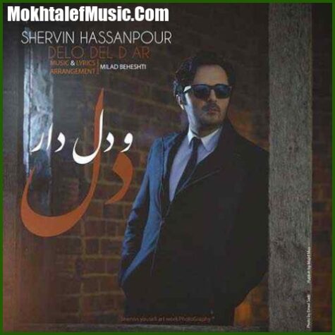 دانلود آهنگ شروین دل و دلدار