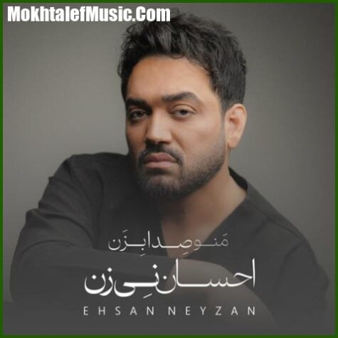 دانلود آهنگ احسان نی زن منو صدا بزن