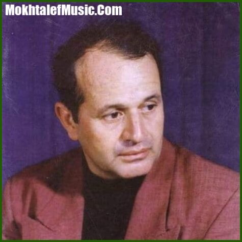 دانلود آهنگ تو رفتی و دلم غمین شد دانلود آهنگ تو رفتی و دلم غمین شد