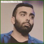 دانلود آهنگ بدجوری رفتی تو تارو پودم