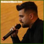 دانلود ریمیکس در باغ دلم تازه گلی