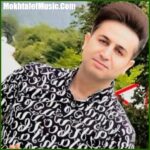 دانلود آهنگ پر میکشه دلم براش تو گوشمه زنگ صداش