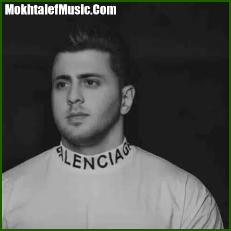 دانلود آهنگ شد شد نشد قاچاقی میزنیم میریم