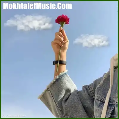 دانلود آهنگ کاش واسه تحویل سال ذوق داشته باشم