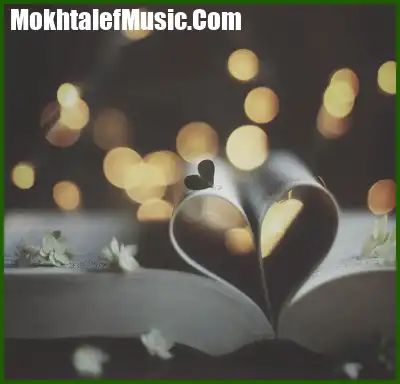 دانلود آهنگ تو ندیدی چه غریبه جزیره