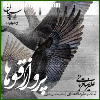 دانلود آهنگ علیرضا قربانی پرواز قوها دانلود آهنگ علیرضا قربانی پرواز قوها