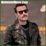 دانلود آهنگ تو که رفتی من دق کردم دو سه شبم هق هق کردم