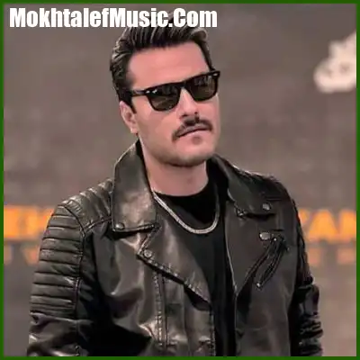 دانلود آهنگ تو که رفتی من دق کردم دو سه شبم هق هق کردم