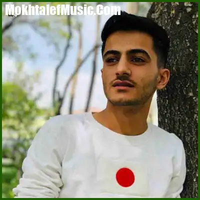 دانلود آهنگ چنی وتم نچو گلم ونبودت چنی ولم