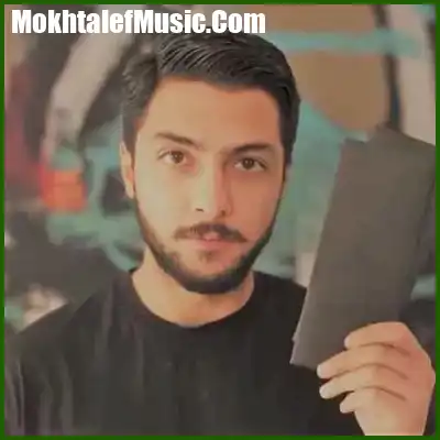 دانلود آهنگ مهراد هیدن عروس