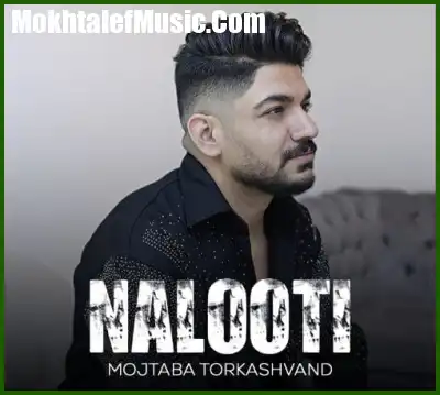 دانلود آهنگ مجتبی ترکاشوند نالوطی دانلود آهنگ مجتبی ترکاشوند نالوطی