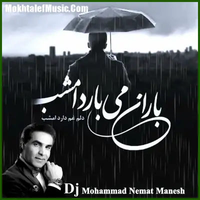 دانلود ریمیکس امید باران می بارد امشب
