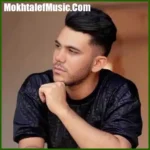 دانلود ریمیکس سو استفاده کردی از این دل سادم