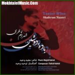 دانلود آهنگ شهرام ناظری باده دوشین