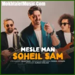 دانلود آهنگ سهیل سام مثل من