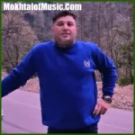 دانلود آهنگ علی احمدیانی هری لاوه کاله گیان لاوه